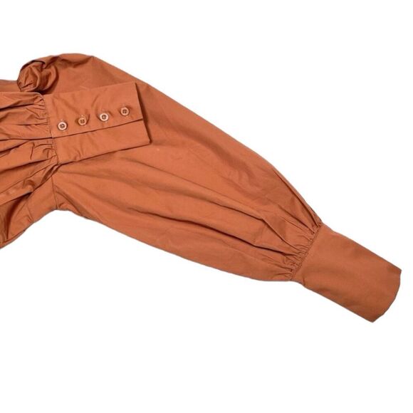 Hanifa Kayla Bustier Long Sleeve Crop Top Princess Poof Sleeves Brown NWT 2XS - Picture 4 of 10